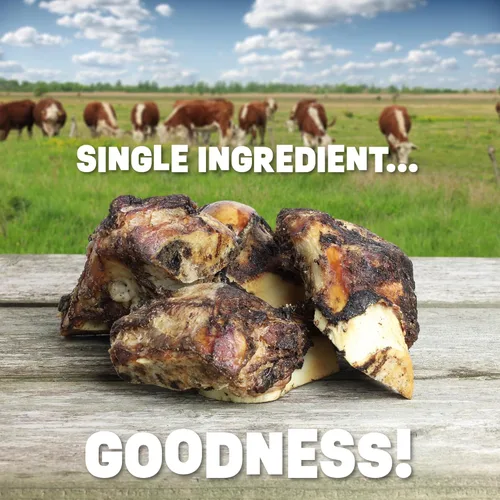 Miniatura 4 de Huesos de perro de un solo ingrediente, fabricados en Estados Unidos, huesos de fémur de carne de res, huesos naturales para masticadores agresivos