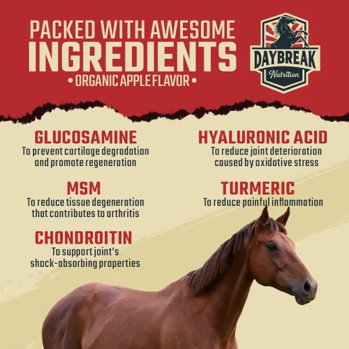 Miniatura 4 de Daybreak Nutrition Suplemento para articulaciones equinas 8 en 1 de máxima fuerza – Suplemento para articulaciones para caballos – Glucosamina, MSM