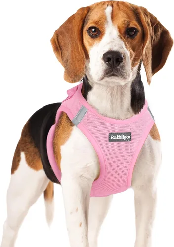 Miniatura 140 de rabbitgoo Arnés para perro pequeño, chaleco de malla suave para cachorros con hebilla de seguridad, arnés reflectante transpirable para mascotas