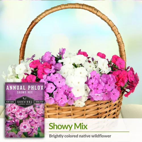 Miniatura 4 de Survival Garden Seeds - Showy Mix anual Phlox Seed para plantar - 5 paquetes con instrucciones para plantar y cultivar hermosas flores silvestres