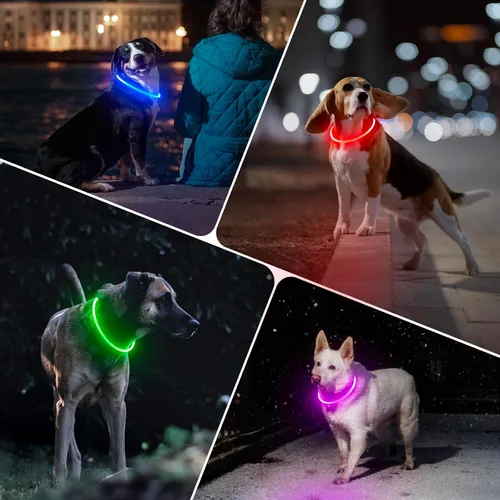 Miniatura 7 de BSEEN Collar de perro iluminado, collar de perro con luces LED recargables tipo C, impermeable, brillante, de poliuretano termoplástico, con luces