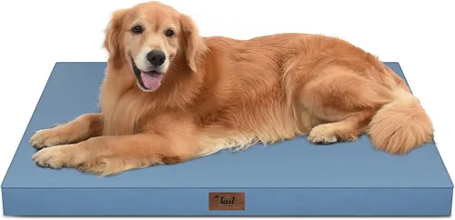 Miniatura 77 de Cama ortopédica de felpa para perros y cachorros medianos, camas impermeables para perros de 30 x 20 pulgadas con funda extraíble lavable, tapete