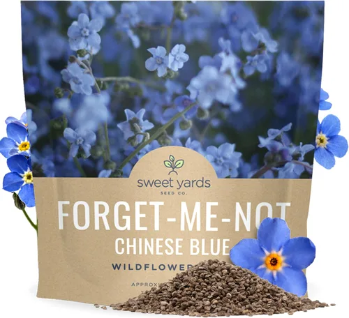 Chinese Forget Me Not Wildflower Seeds - Paquete a granel de 1 onza - Más de 5,500 semillas polinizadas abiertas - Blue Cynoglossum amabile