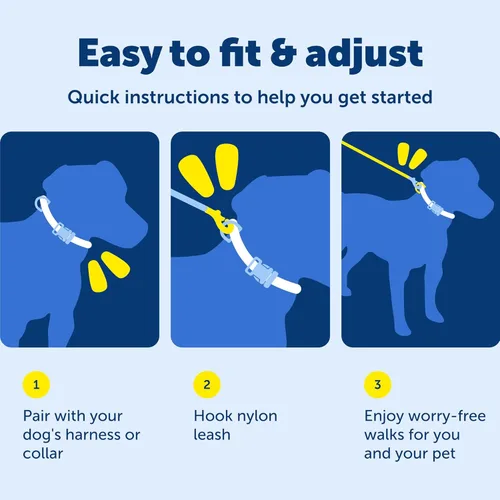 Miniatura 6 de PetSafe Correa de nailon para perro fuerte, duradera, estilo tradicional con broche de perno fácil de usar para perros pequeños, medianos y grandes