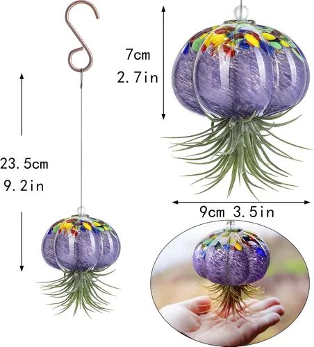 Miniatura 6 de H&D HYALINE & DORA Terrario de cristal soplado a mano colgante con diseño de medusa de aire para plantas de aire, decoración para jardín, porche