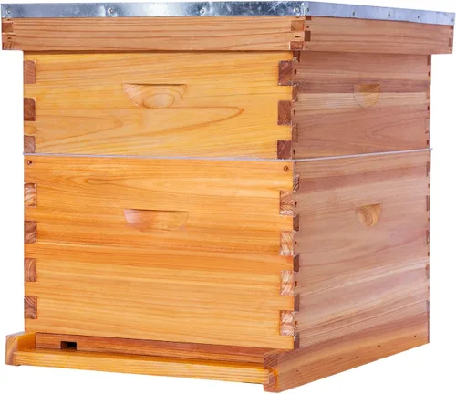 POLLIBEE Colmena de abejas de 10 marcos, kit de colmena recubierta de cera de abeja para el cuidador de abejas, colmena completa incluye 1 caja de