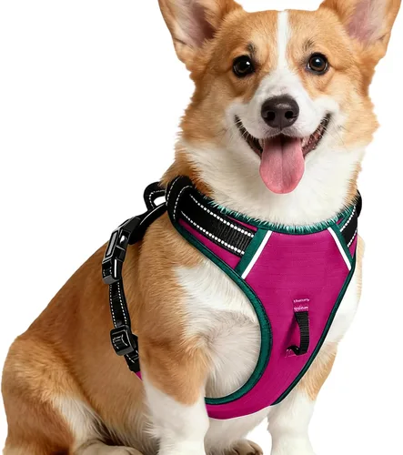 Miniatura 46 de Arnés para perro sin tirones, chaleco reflectante ajustable y acolchado para mascotas con asa de fácil control, fácil de llevar con nudo elegante