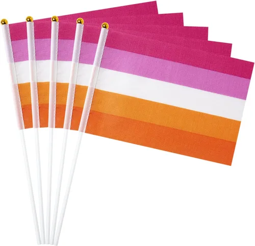 Miniatura 13 de GentleGirl Paquete de 12 banderas de arco iris del orgullo asexual, pequeñas banderas de mano gay LGBT Festival Fiesta Desfiles Decoraciones