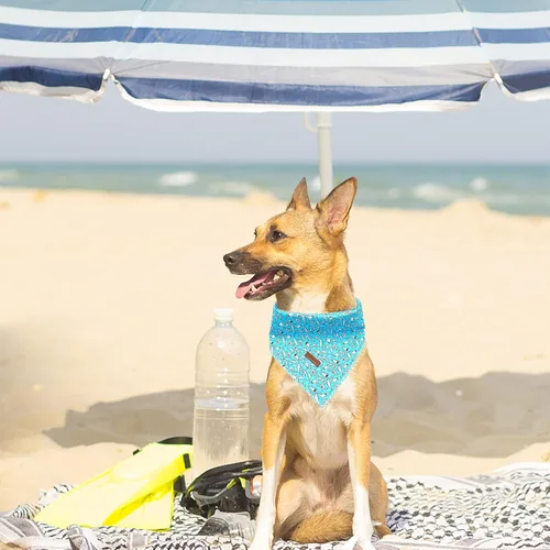 Miniatura 5 de Lionheart Glory Bandana - Bufanda azul suave lavable con estampado de tiburón, ajustable para perros pequeños, medianos y grandes Azul (Blue Shark)