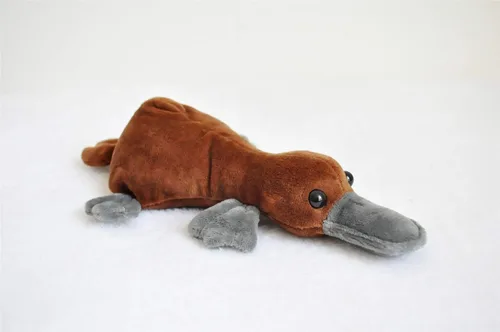 TAMMYFLYFLY Almohada de felpa suave de ornitorrinco realista de 8.6 pulgadas, Kawaii para niñas y niños, juguetes de animales de peluche con pico de