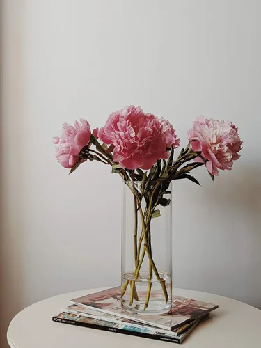 Miniatura 4 de WGV - Jarrón cilíndrico a granel, diámetro de 5 pulgadas, altura de 10 pulgadas, contenedor floral de vidrio transparente, portavelas flotante