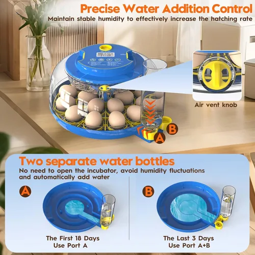 Miniatura 3 de Incubadora para incubación de huevos-18 huevos con giro automático de huevos y control de humedad Vista de 360 ° Incubadora de Huevos, patos