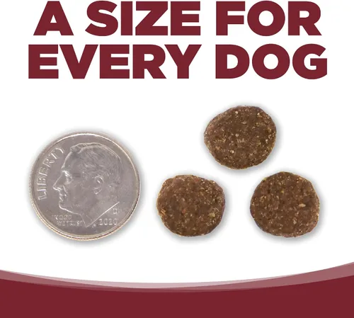 Miniatura 6 de NutriSource Alimento seco para perros, carne de res y arroz, 4 libras