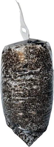 Miniatura 3 de rePotme Mezcla de tierra para macetas de cactus imperial de Navidad - Bolsa Junior (3,79 litros)