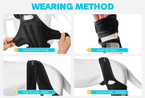 Miniatura 5 de Férula ACL para Perro para Luxación de Rótula en Pata Trasera, Soporte Ajustable de Pata Trasera para Perro para Dolor Articular, Dolor Muscular
