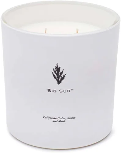 Miniatura 2 de Archipelago Botanicals Big Sur Luxe Candle Cedro de California, ámbar y almizcle Mezcla de cera de coco y mechas dobles Quema aproximadamente