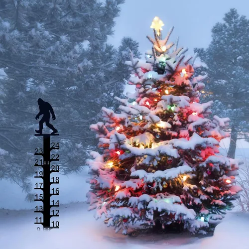 Miniatura 6 de LiveGo Iron Art - Medidor de nieve de 24 pulgadas, medidor de medición para exteriores, palo de medición de nieve desmontable de metal, estacas