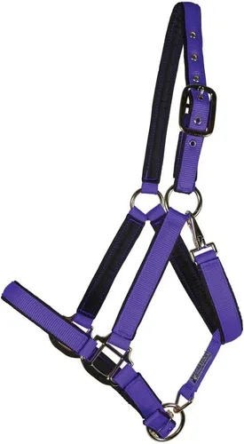 Miniatura 8 de Dura-Tech Cabestro de caballo de nailon totalmente acolchado Cabestro para caballo diseñado para evitar rozaduras Corona y bordillo de caballo