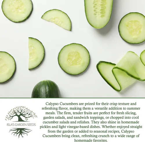 Miniatura 6 de Semillas de pepino Calypso para plantar, más de 25 semillas de reliquia por paquete, semillas de jardín de Isla (semillas de jardín de Isla)