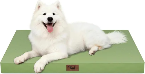 Miniatura 70 de Cama ortopédica de felpa para perros y cachorros medianos, camas impermeables para perros de 30 x 20 pulgadas con funda extraíble lavable, tapete