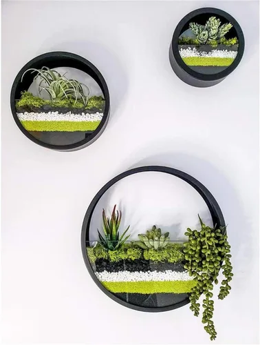 Miniatura 8 de Juego de 3 macetas redondas para colgar en pared, terrario para suculentas, contenedor con soporte de montaje independiente de metal, decorativo
