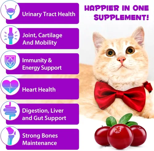 Miniatura 6 de Multivitamínico para gatos, 15 en 1, vitaminas para gatos, suplementos líquidos para la salud del corazón, huesos, articulaciones, piel y pelaje