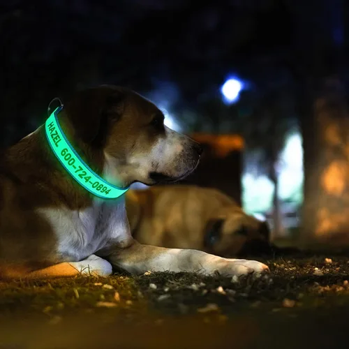 Miniatura 4 de Collares de perro personalizados reflectantes Wlitchi, collares de identificación luminosa personalizados bordados con nombre y número de teléfono
