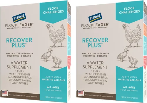 Miniatura 10 de FlockLeader Recover 911, Suplemento de Agua Probiótico para Estrés Severo para Pollos con Electrolitos, Prebióticos y Orégano, para la Muda, Clima