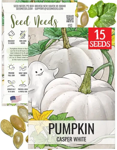 Miniatura 30 de Seed Needs, Jack O' Lantern - Semillas de calabaza – 25 semillas tradicionales para plantar Cucurbita Pepo – Sin OMG y sin tratar, ideal para tallar