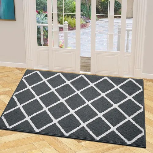 Miniatura 13 de Finchitty Alfombra para Puerta Interior, Resistente a la Suciedad y Absorbente, de Perfil Bajo, Antideslizante, Lavable, Alfombras de Piso