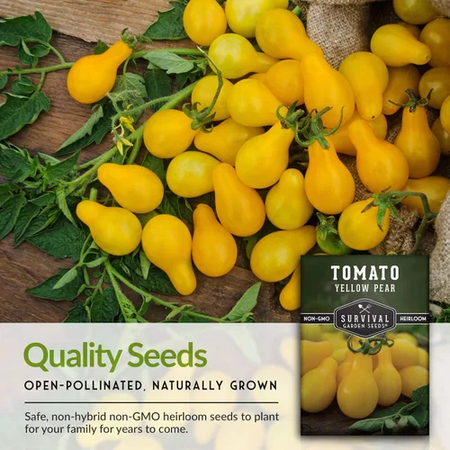 Miniatura 7 de Paquete de 2 semillas de tomate de pera amarilla para plantar, paquete con instrucciones para cultivar tomates dorados en tu huerto casero, variedad