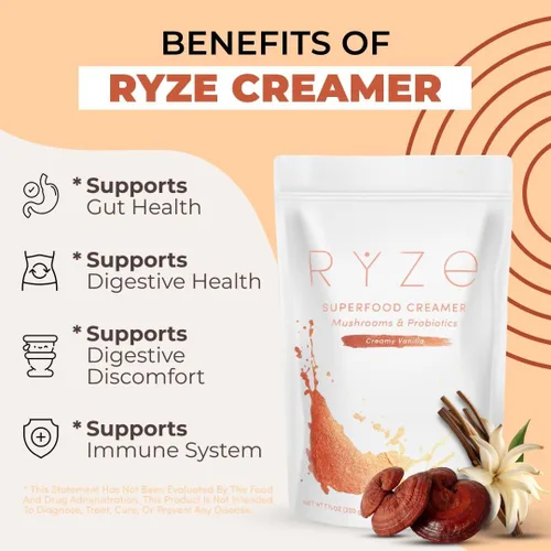 RYZE SUPERFOODS RYZE n Shine Bundle, Café de tueste medio orgánico USDA con certificación orgánica + Crema de café probiótica con 6 hongos