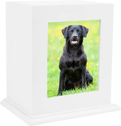 Miniatura 11 de Urna conmemorativa de madera para cenizas, marco de fotos, caja de recuerdo para gatos y perros, suministros de ataúdes funerarios, urnas