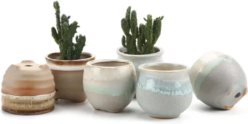 T4U Juego de 6 macetas pequeñas de cerámica para suculentas con drenaje, mini para plantas, maceta de porcelana pequeña, macetas de plantas de aire,