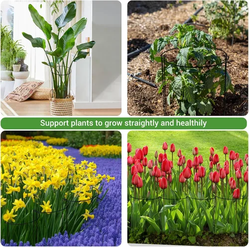 Miniatura 7 de Kikhope Estacas de soporte para plantas, paquete de 8 estacas de metal para jardín, jaula de soporte de peonía semicircular, soporte de bordes