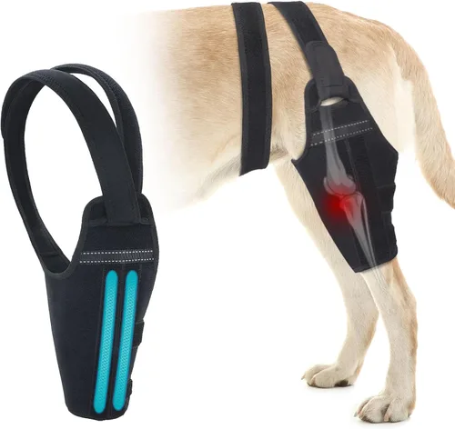 Rodillera para perro para pierna trasera de ligamento cruzado anterior desgarrado, soporte de pierna de perro para pierna trasera con 2 Pierna