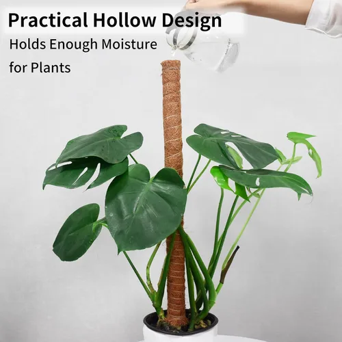 Miniatura 4 de JJGoo Poste de musgo para plantas Monstera, paquete de 2 postes de soporte para plantas de 23.6 pulgadas, poste de tótem de fibra de coco extensible