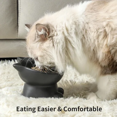 Miniatura 4 de Nihow Cuencos Elevados Inclinados para Gatos: Cuenco Elevado de Cerámica de 5 Pulgadas para Comida de Gato para Proteger la Columna Vertebral