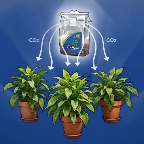 Miniatura 4 de ExHale Homegrown CO2 365 - Bolsa autoactivada para salas de cultivo y tiendas de campaña, ideal para salas de cultivo en interiores, CO2