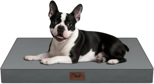 Miniatura 97 de Cama ortopédica de felpa para perros y cachorros medianos, camas impermeables para perros de 30 x 20 pulgadas con funda extraíble lavable, tapete