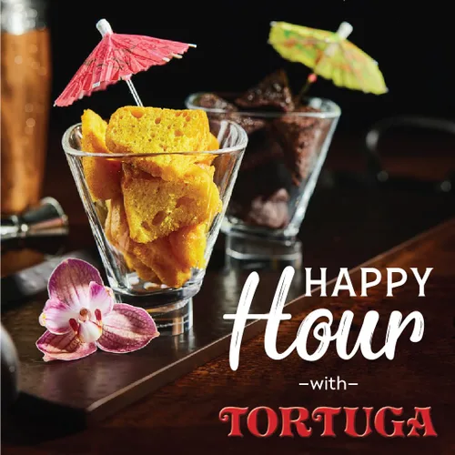 Miniatura 3 de TORTUGA Pastel de Ron, Mamajuana, 4 Oz