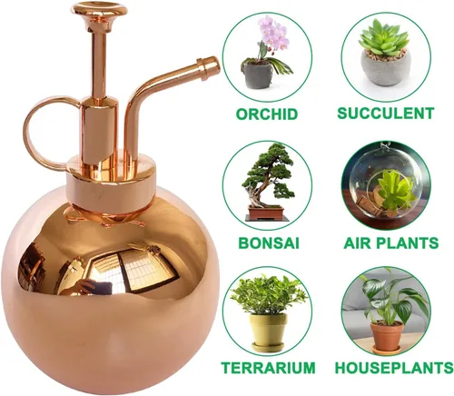 Miniatura 6 de Pulverizador de plantas de acero inoxidable, botella de nebulización de plantas, herramientas modernas de jardinería para plantas en macetas de Oro