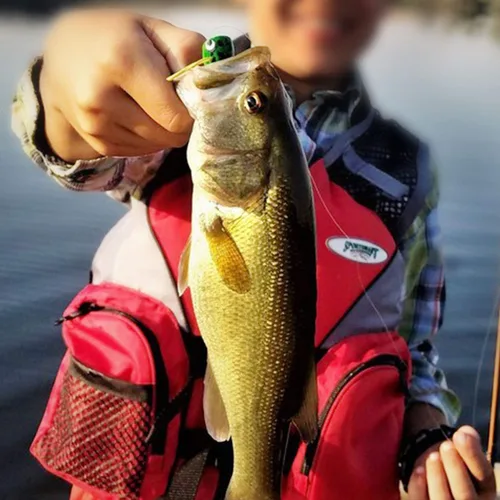 Miniatura 6 de YZD Bass Popper - Kit de moscas de pesca en seco - Panfish Bass Fishing Topwater Bait (Kit de popper 2)