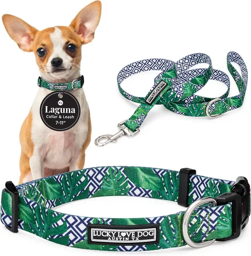 Miniatura 10 de Lucky Love Dog - Collar para perras pequeñas, diseño Blackbird de estampado alegre con flores de primavera y verano, talla XS