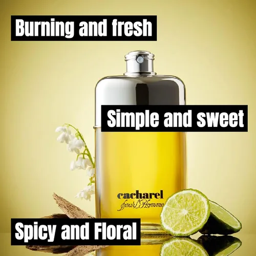 Miniatura 4 de Cacharel Pour L'Homme Eau de Toilette Colonia para hombre, fragancia amaderada, picante y floral, notas de bergamota, acuerdo de lirio del valle