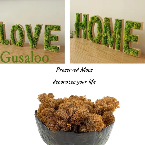 Miniatura 3 de Musgo artificial conservado, musgo natural fresco verde de reno para proyectos de artes florales, decoración de pared, decoración de mesa, centros