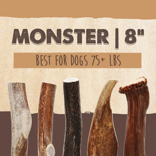 Miniatura 2 de Mighty Paw Astas de alce partidas para perros (procedencia en los Estados Unidos) 2 huesos duraderos de monstruo de más de 8" para masticadores