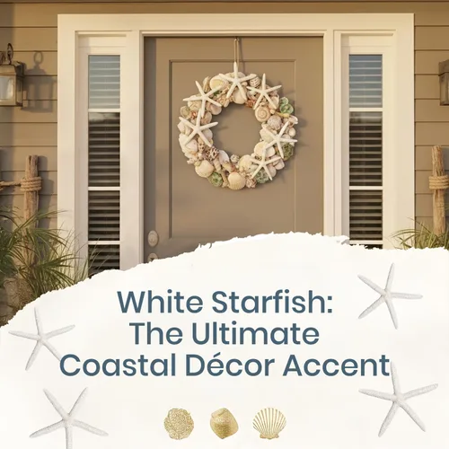 Miniatura 5 de Nautical Crush Trading Decoración de estrella de mar – Peces de estrella para manualidades – Paquete de 10 estrellas reales de mar blanco de 6-8