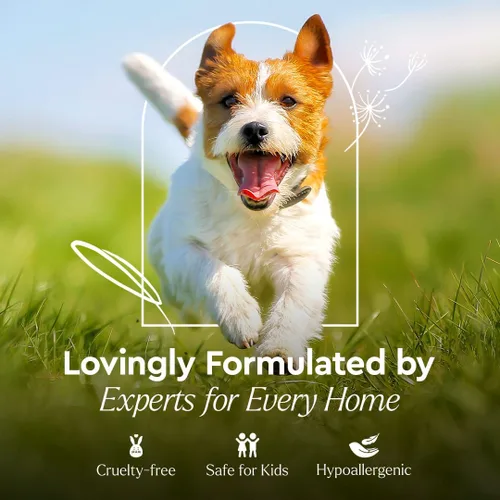 Miniatura 5 de Puracy Eliminador de manchas y olores de mascotas de platino natural, eliminador profesional de olores de orina de mascotas con enzimas naturales