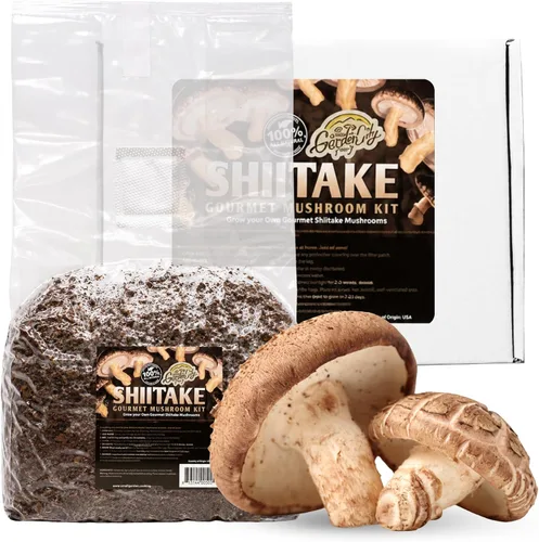 Miniatura 4 de Kit de hongos gourmet de melena de león - Bolsa de cultivo para hongos - Cultiva hongos melena de león premium en casa - Deliciosos y 100% naturales